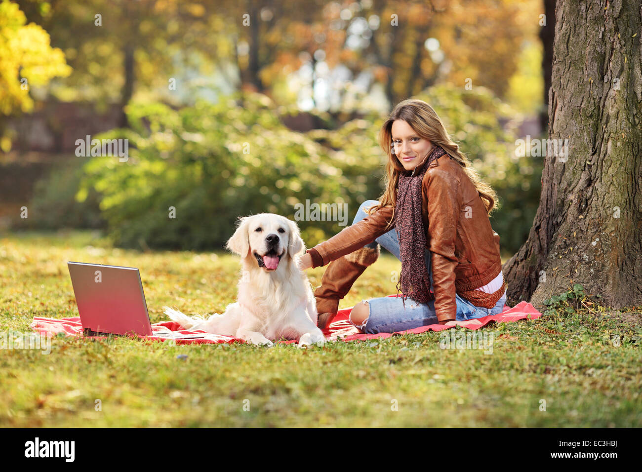 Beautiful girl sitting with her dog in park on blanket Stock Photo - Alamy