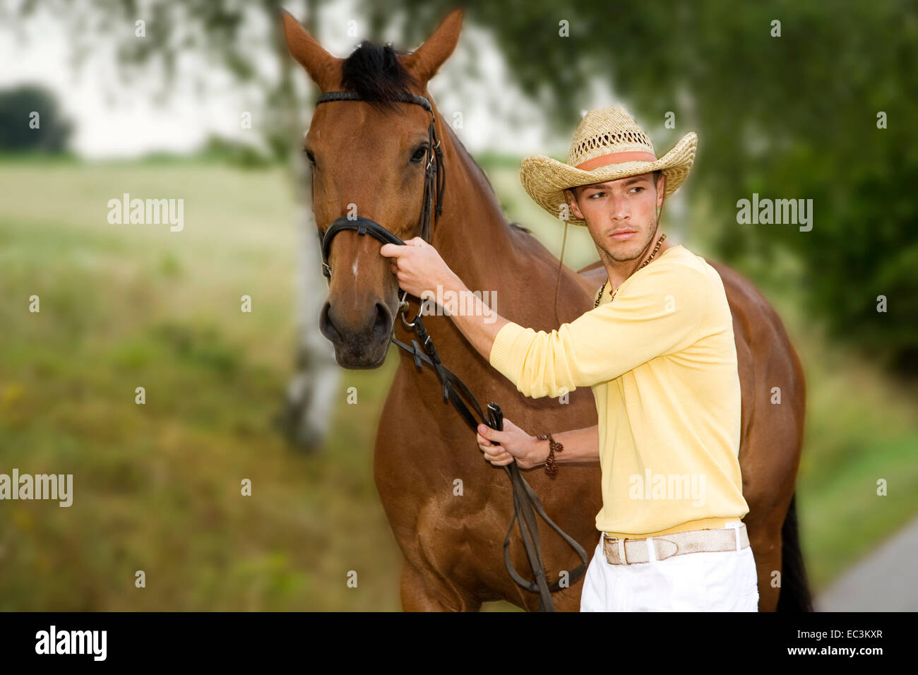 Man leading Horse Stock Photo Alamy