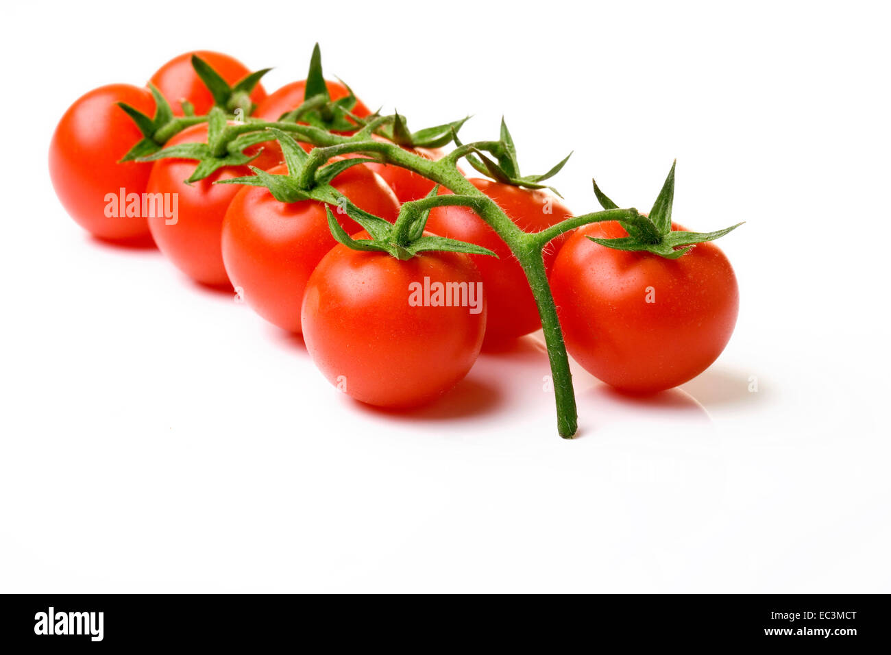 Images of tomatoes hi-res stock photography and images - Alamy