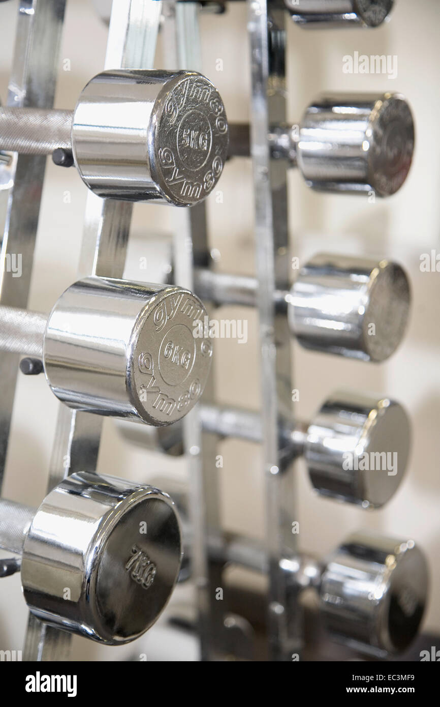 Dumb Bell Stock Photo