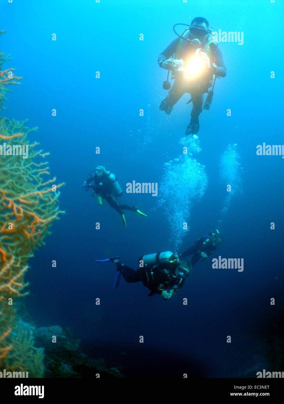 The divers hi-res stock photography and images - Alamy