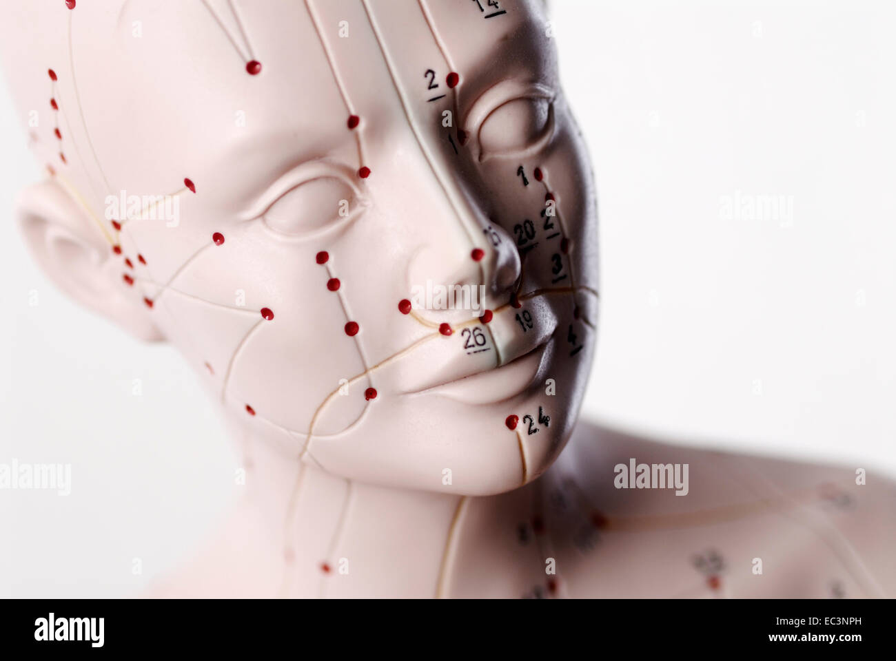 Acupuncture points head hi-res stock photography and images - Alamy