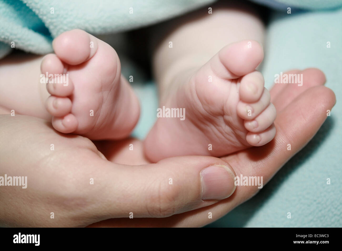 Feet of a Baby Stock Photo - Alamy