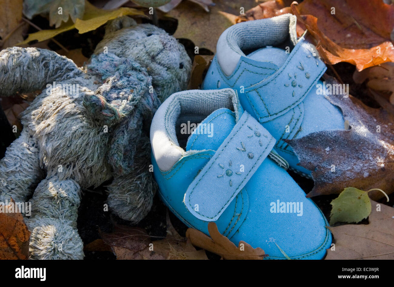 teddy shoes sneakers with strap