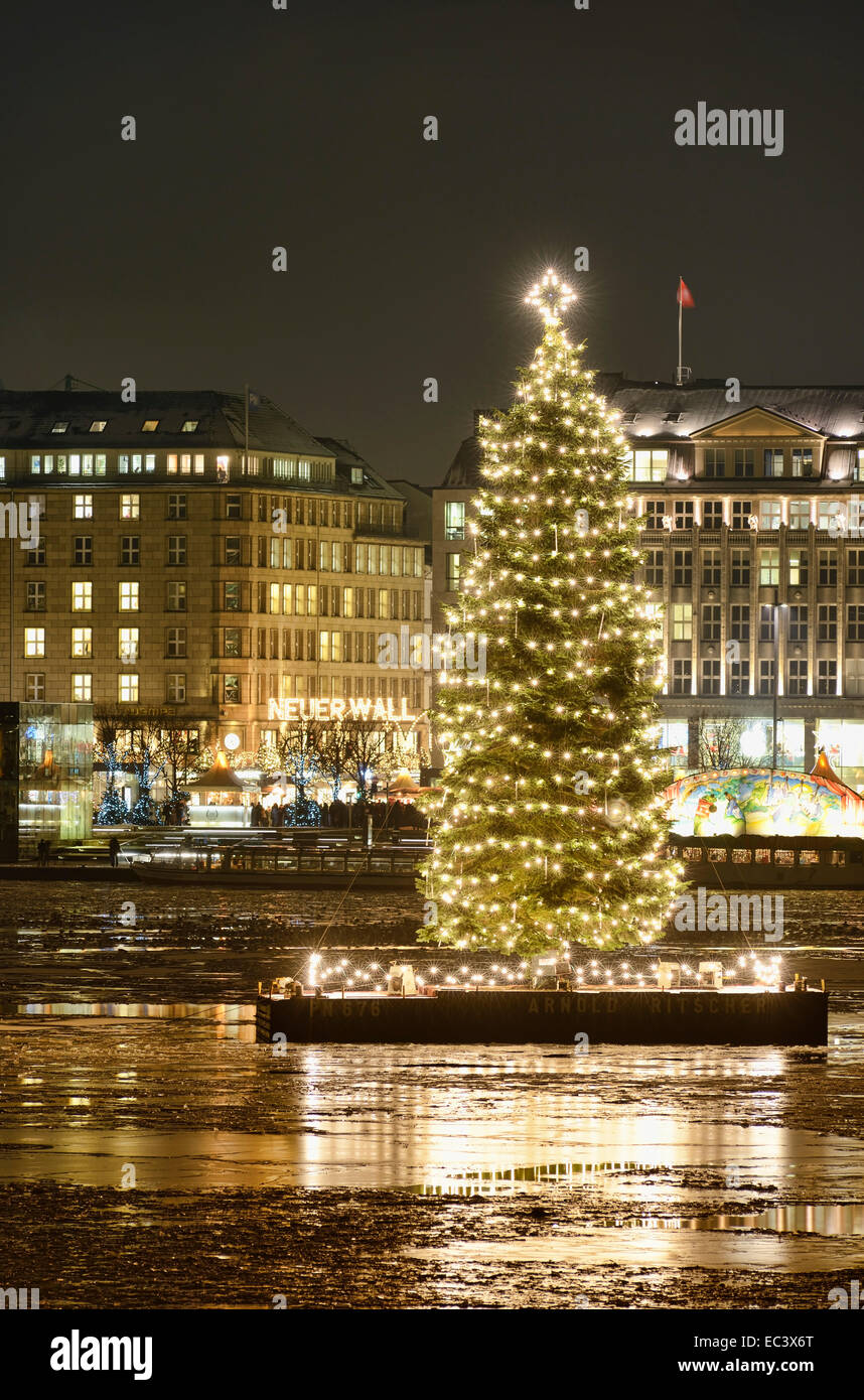 Christmas Tree In Germany 