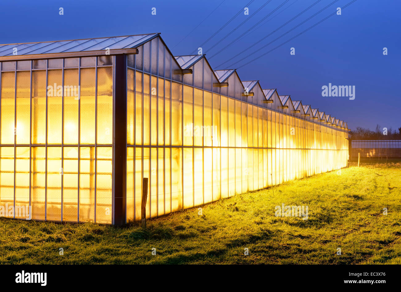 Lighted greenhouses in Hamburg, Germany Stock Photo