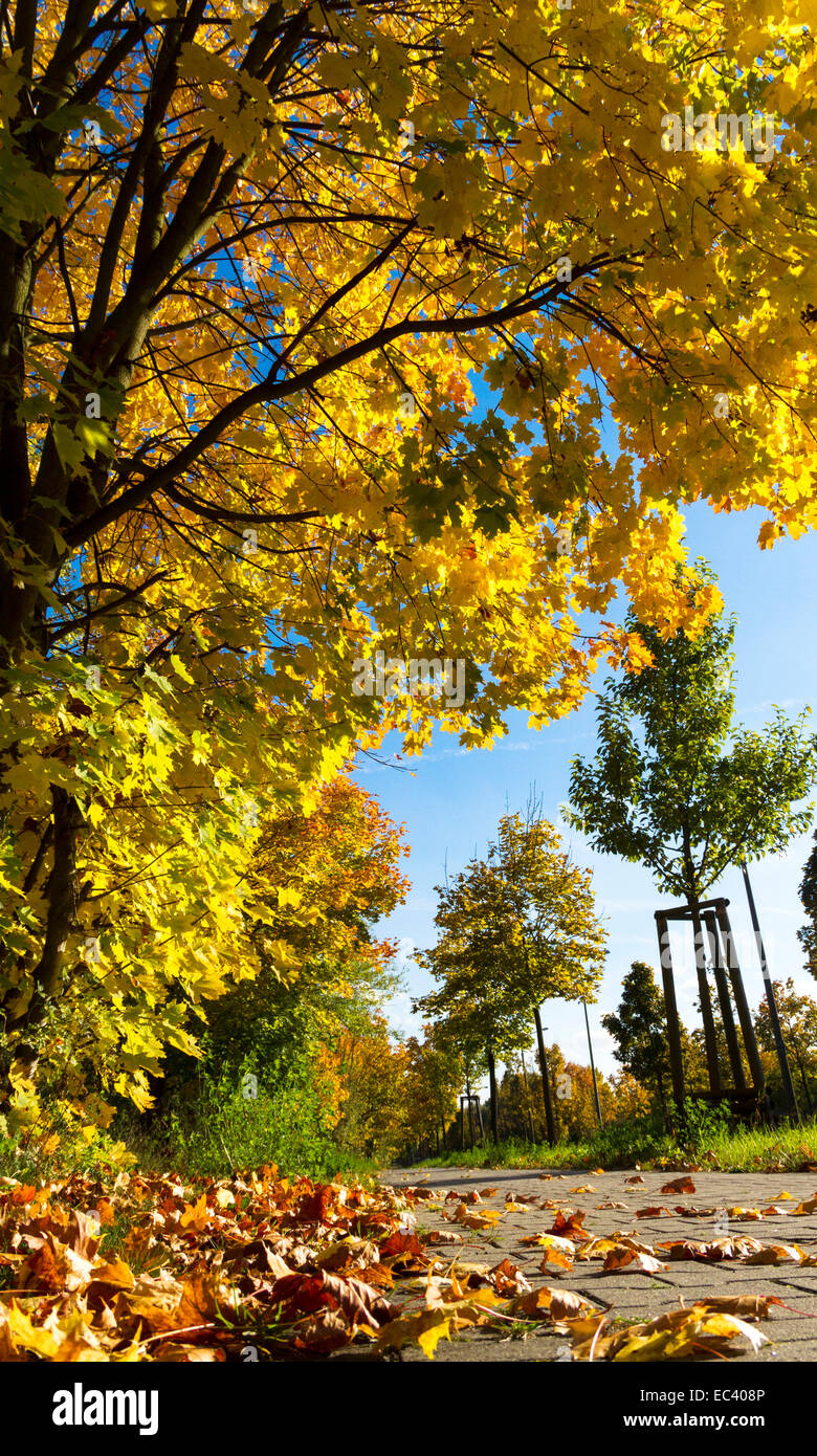 Autumn bike trail Stock Photo - Alamy
