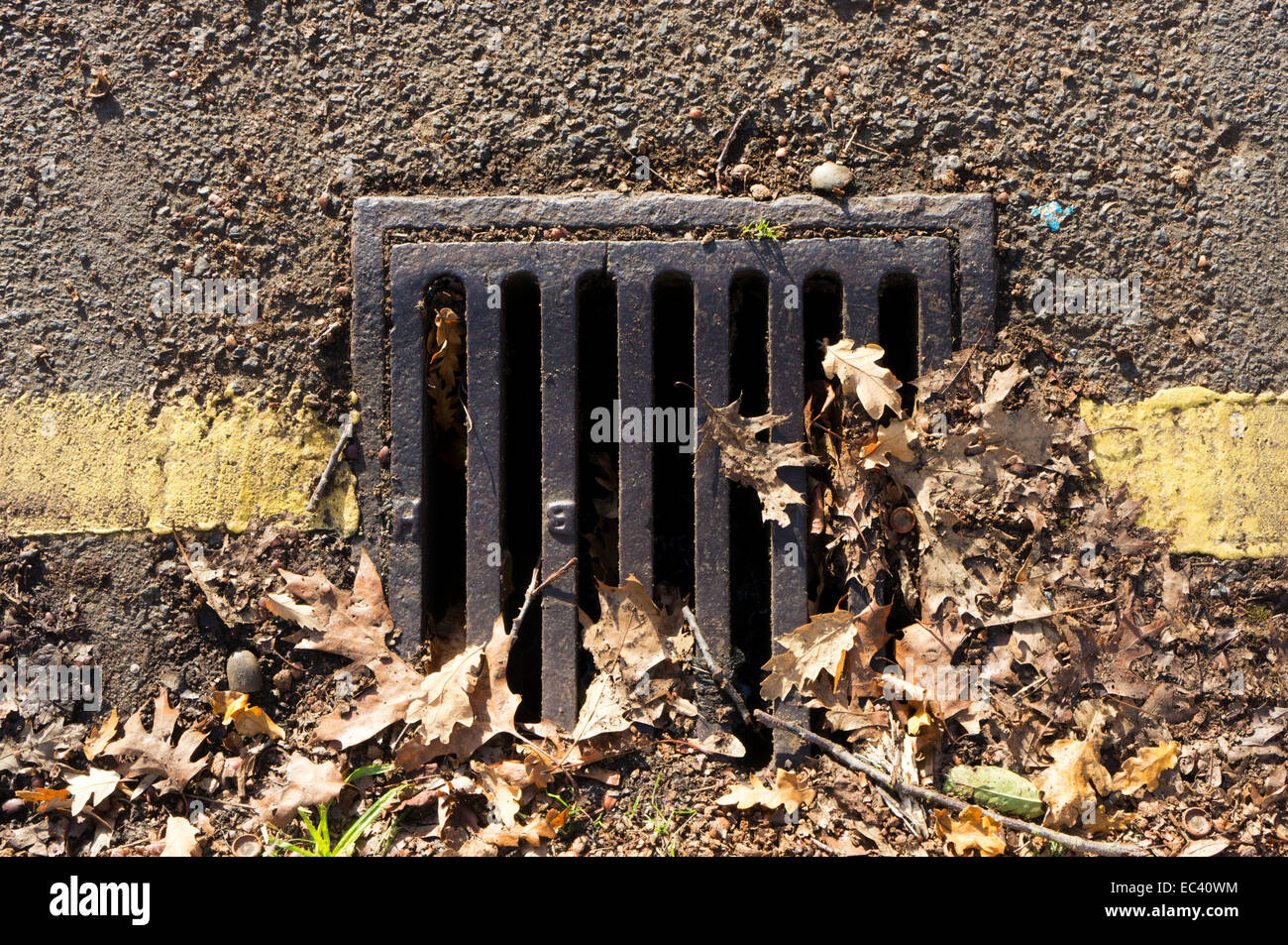 Leaves blocking a roadside drain. Stock Photo