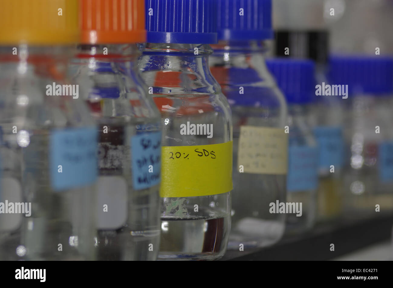 Buffer solutions on laboratory shelves Stock Photo Alamy