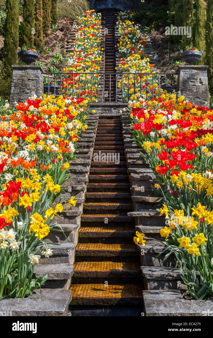 Planting flower beds hi-res stock photography and images - Alamy