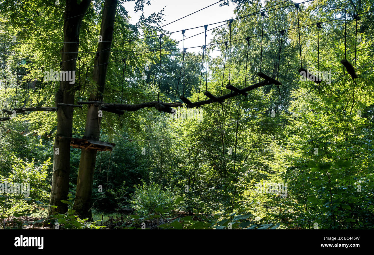 Climbing in the Forest Stock Photo Alamy