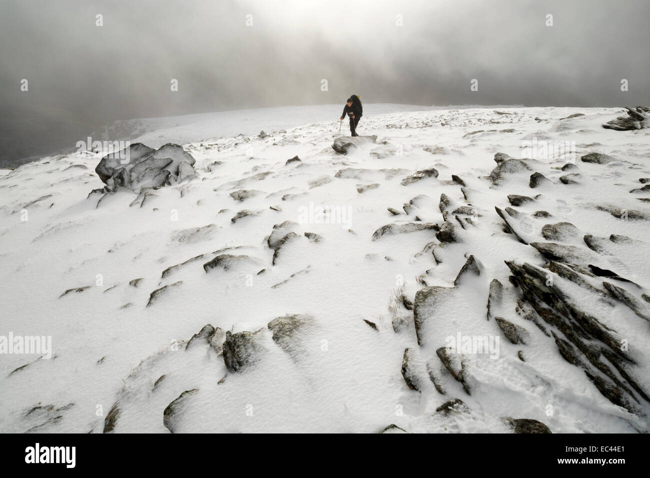 Trekker in high winds on Pen Yr Ole Wen. Carneddau range, Snowdonia National Park, UK. Stock Photo