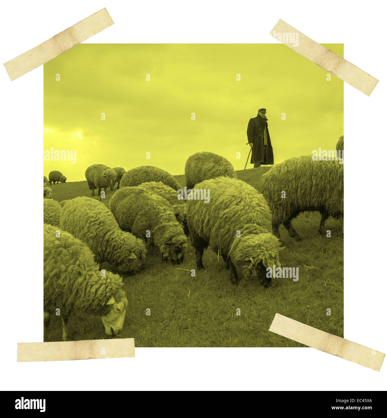 Shepherd and sheep Cut Out Stock Images & Pictures - Alamy