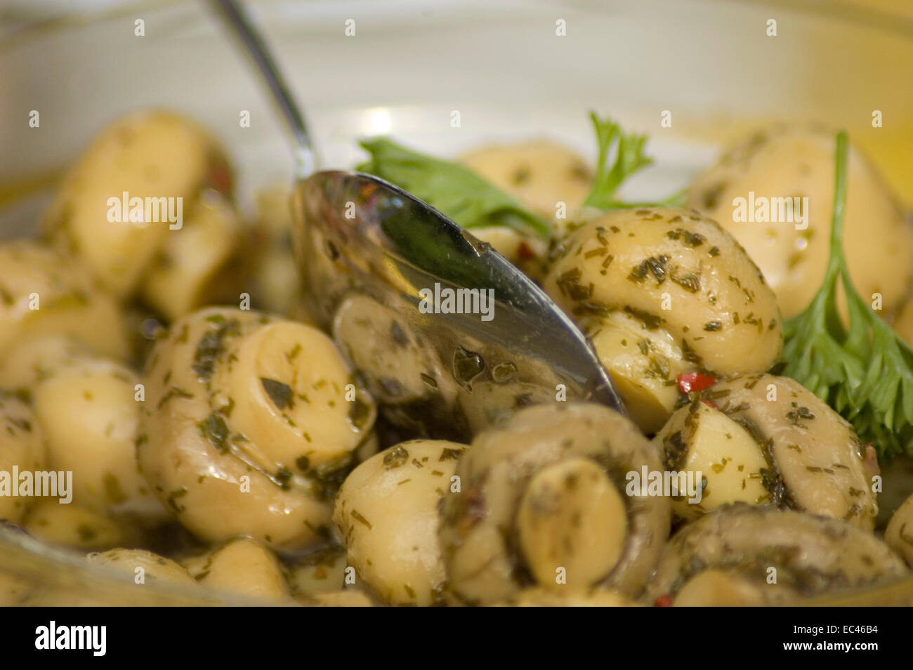 White Mushroom Salad Stock Photo - Alamy