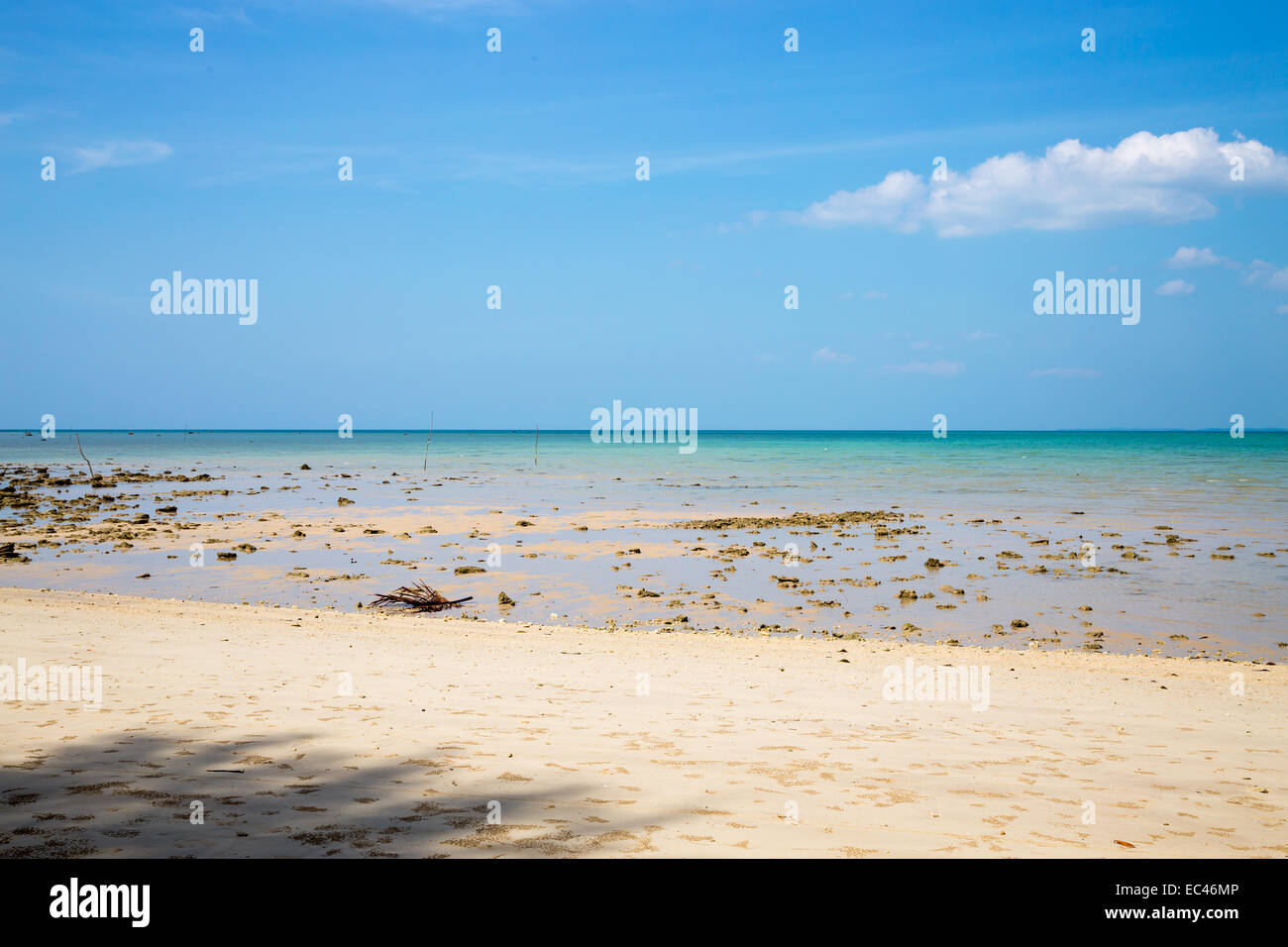 Low tide on a sandy beach with blue sky. Stock Photo