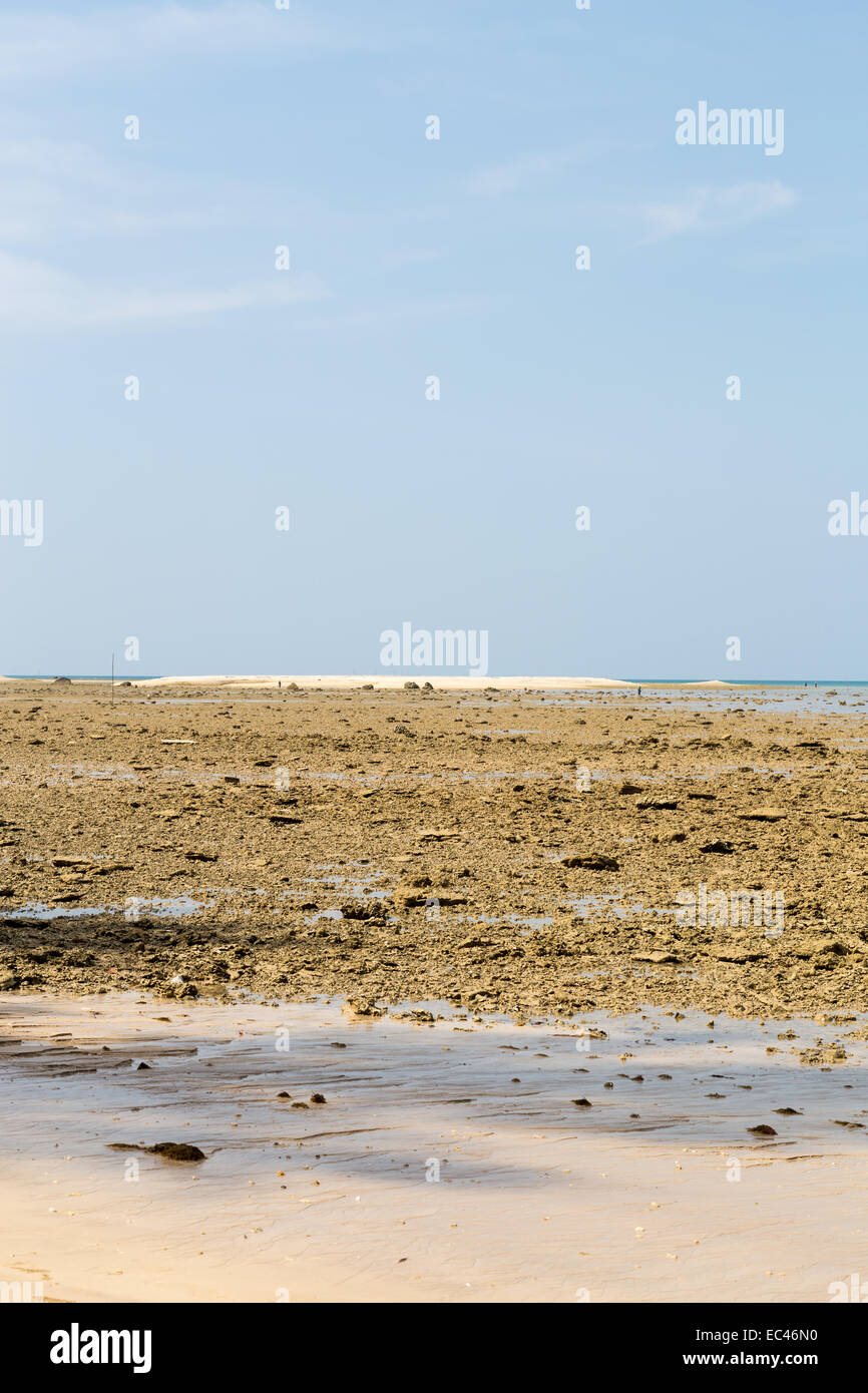 Low tide on a sandy beach with blue sky. Stock Photo