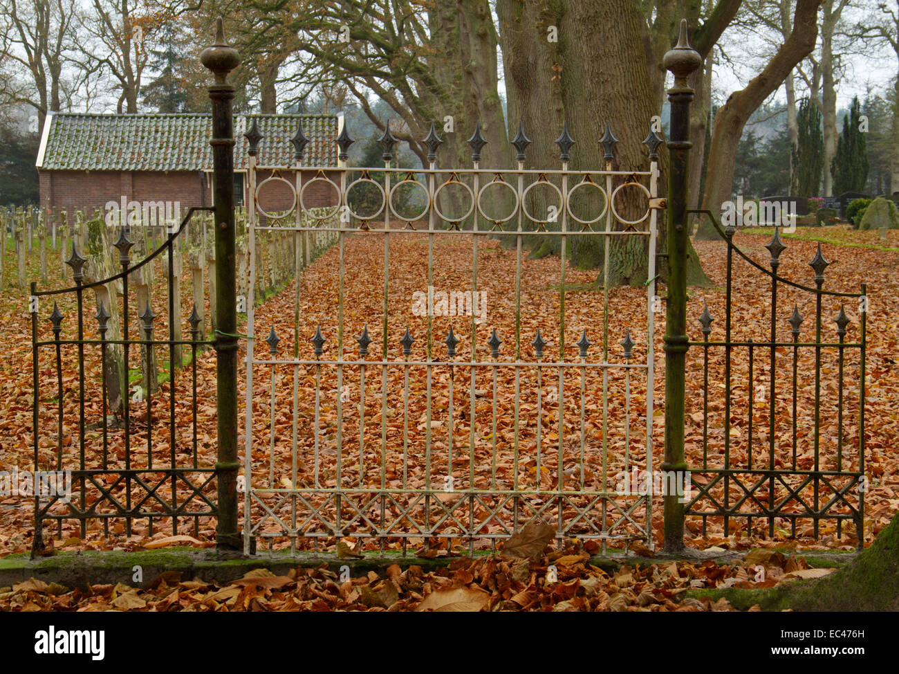 Forged iron gate of a cemetery between Beeches in autumn Stock Photo