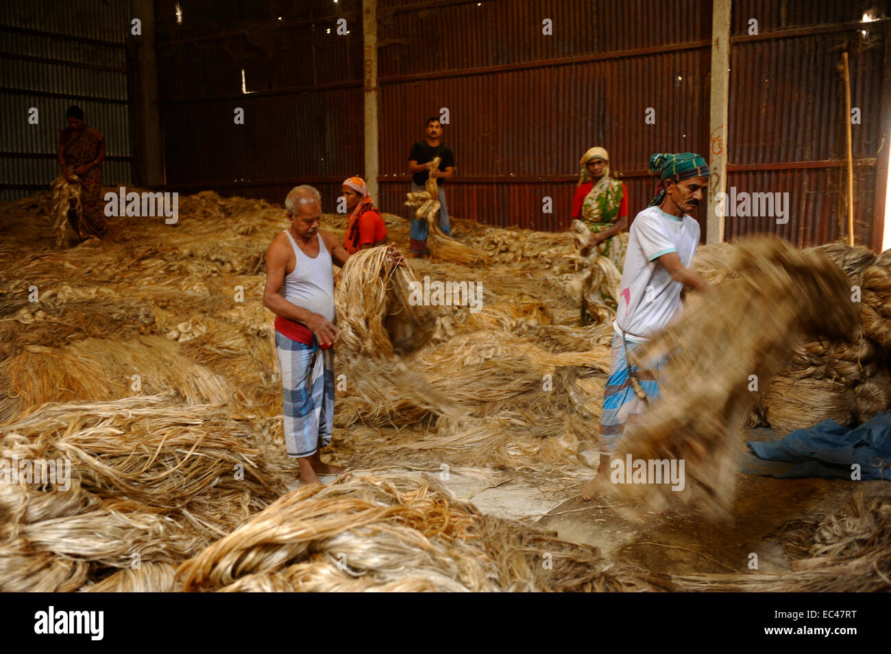 A laborers inside the jute factory in Bangladesh. Jute naturally grows