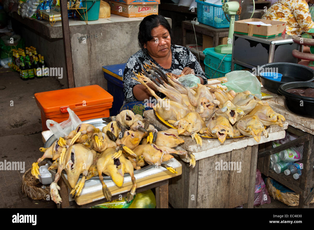 Khmer woman selling gutted chicken at a local market, Battambang, Cambodia Stock Photo