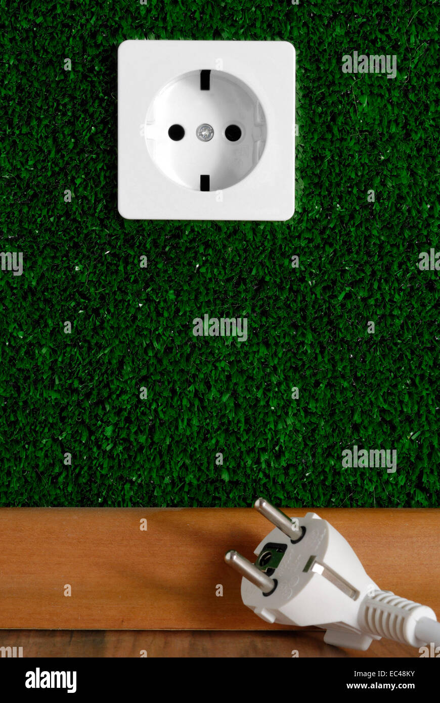 Electric Plug in front of Electric Outlet, Lawn Stock Photo Alamy