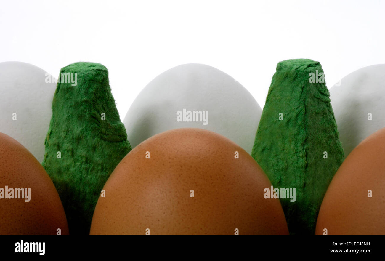 Eggs in Carton Stock Photo Alamy