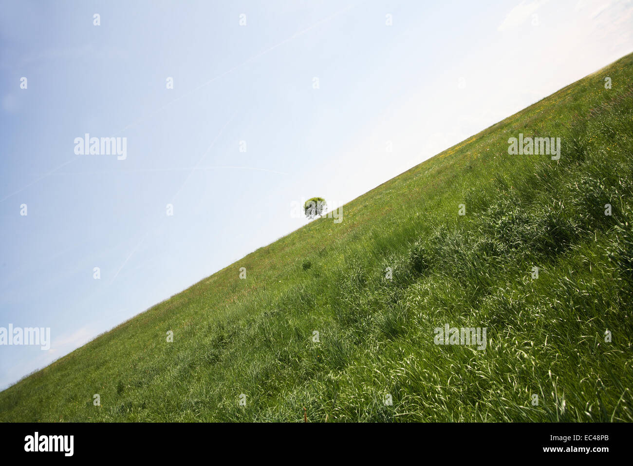 Ecological Balance Stock Photo