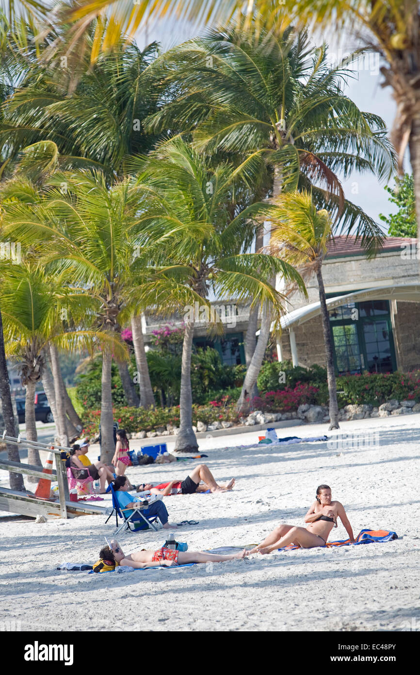 Beach, Matteson Hammock Beach Park, Miami, Florida, USA Stock Photo Alamy