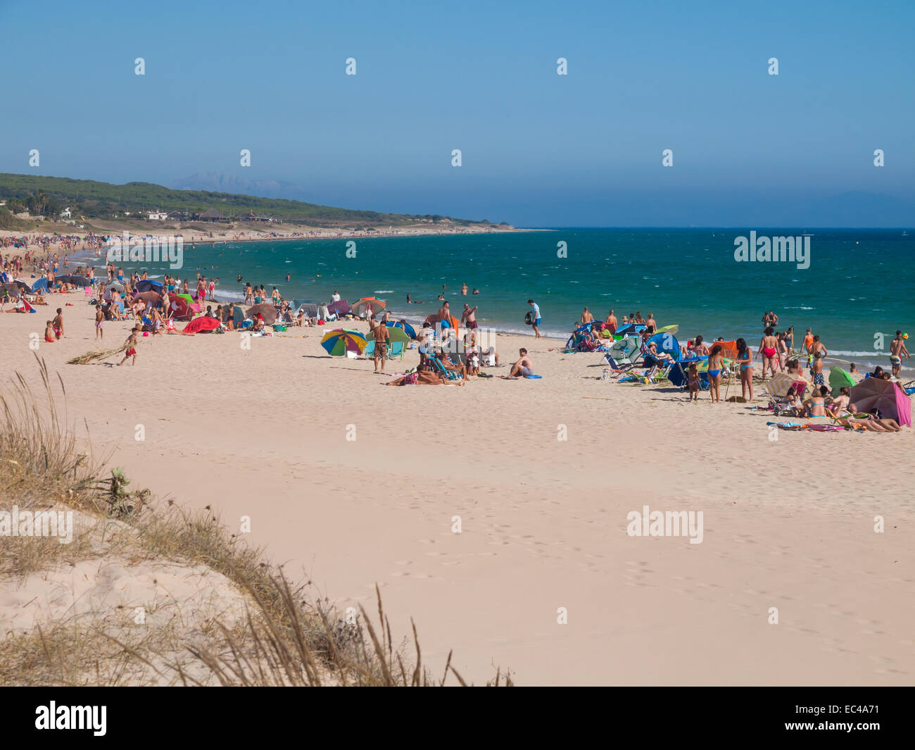 Beach of Bolonia, Costa de la Luz, with people sunbathing and enjoying their holidays Stock Photo