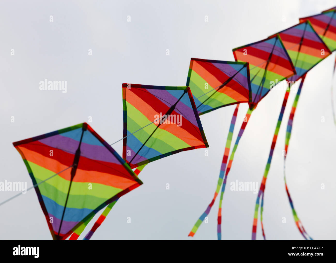 Kites on the sky Stock Photo