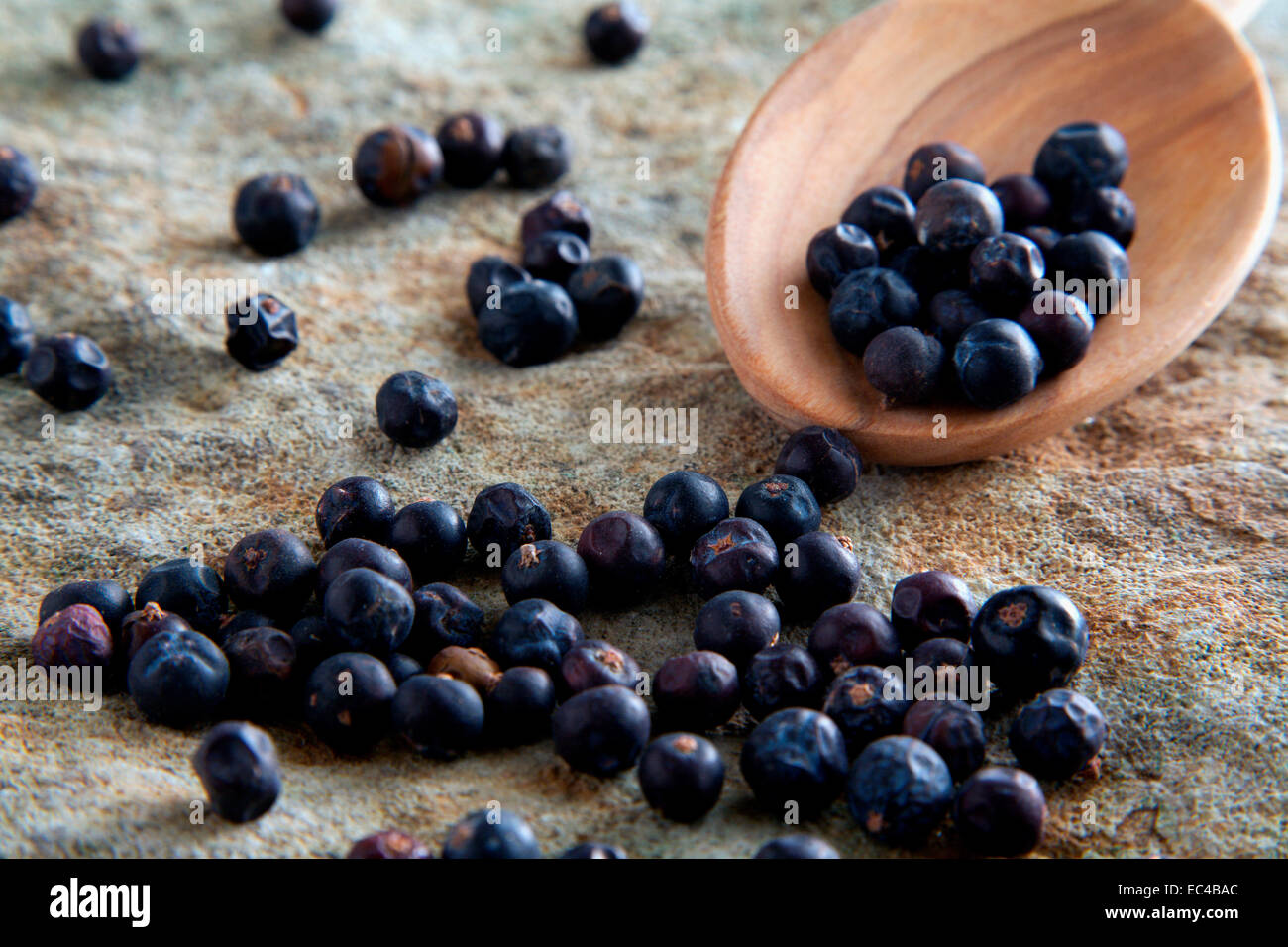 Juniper with Spoon on a Flagstone Stock Photo
