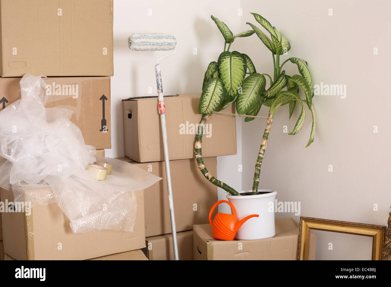 Instrument boxes hires stock photography and images Alamy