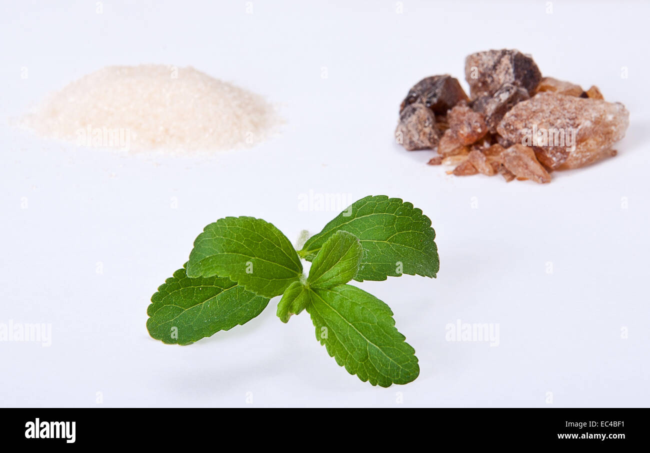 Stevia, Candis or sugar Stock Photo Alamy