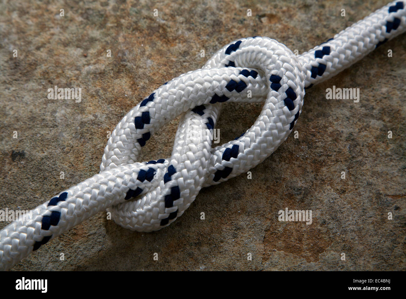figure eight node, special knot for sailing and chlimbing Stock Photo