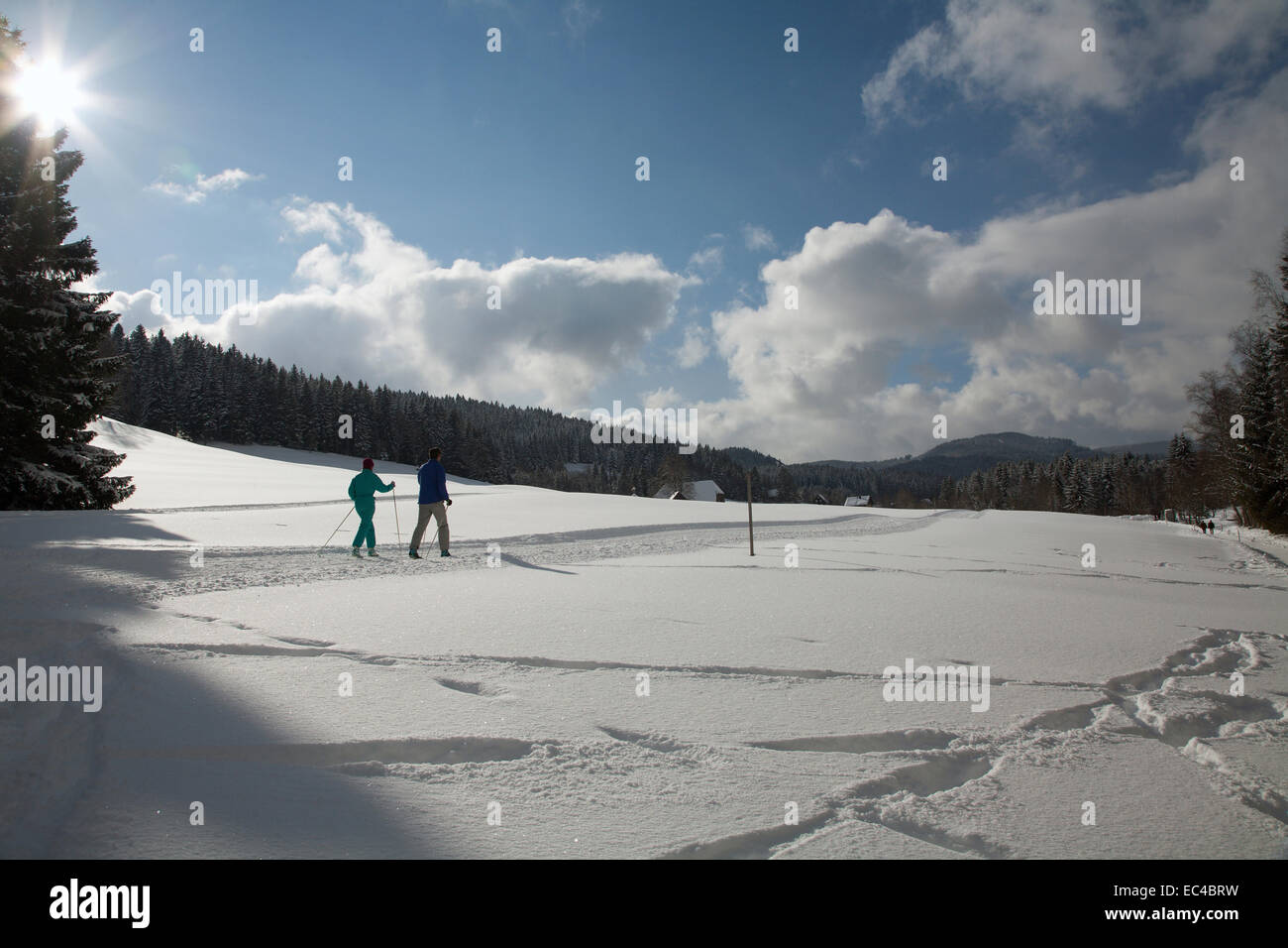 Cross country skiing in the snowy Black Forest Stock Photo