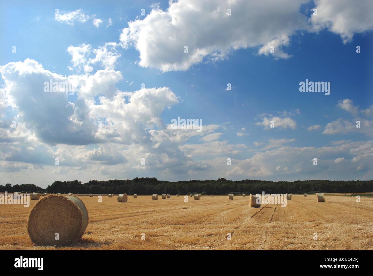 Summer harvest hi-res stock photography and images - Alamy