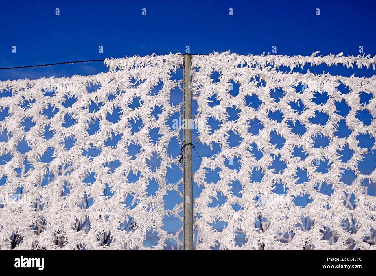 Mesh netting in snow hi-res stock photography and images - Alamy