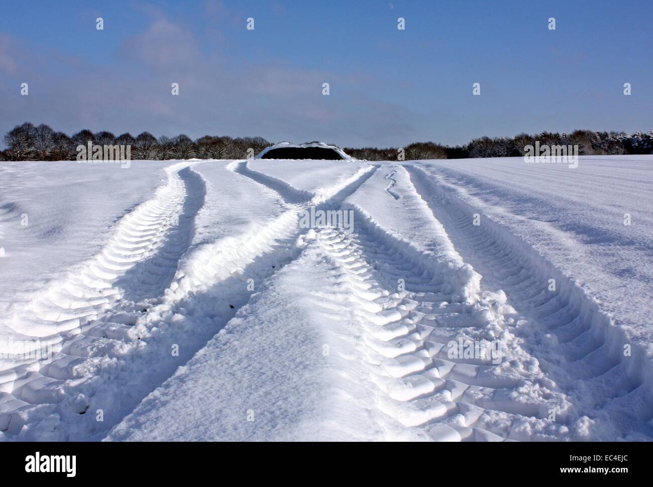 traces on snow Stock Photo - Alamy