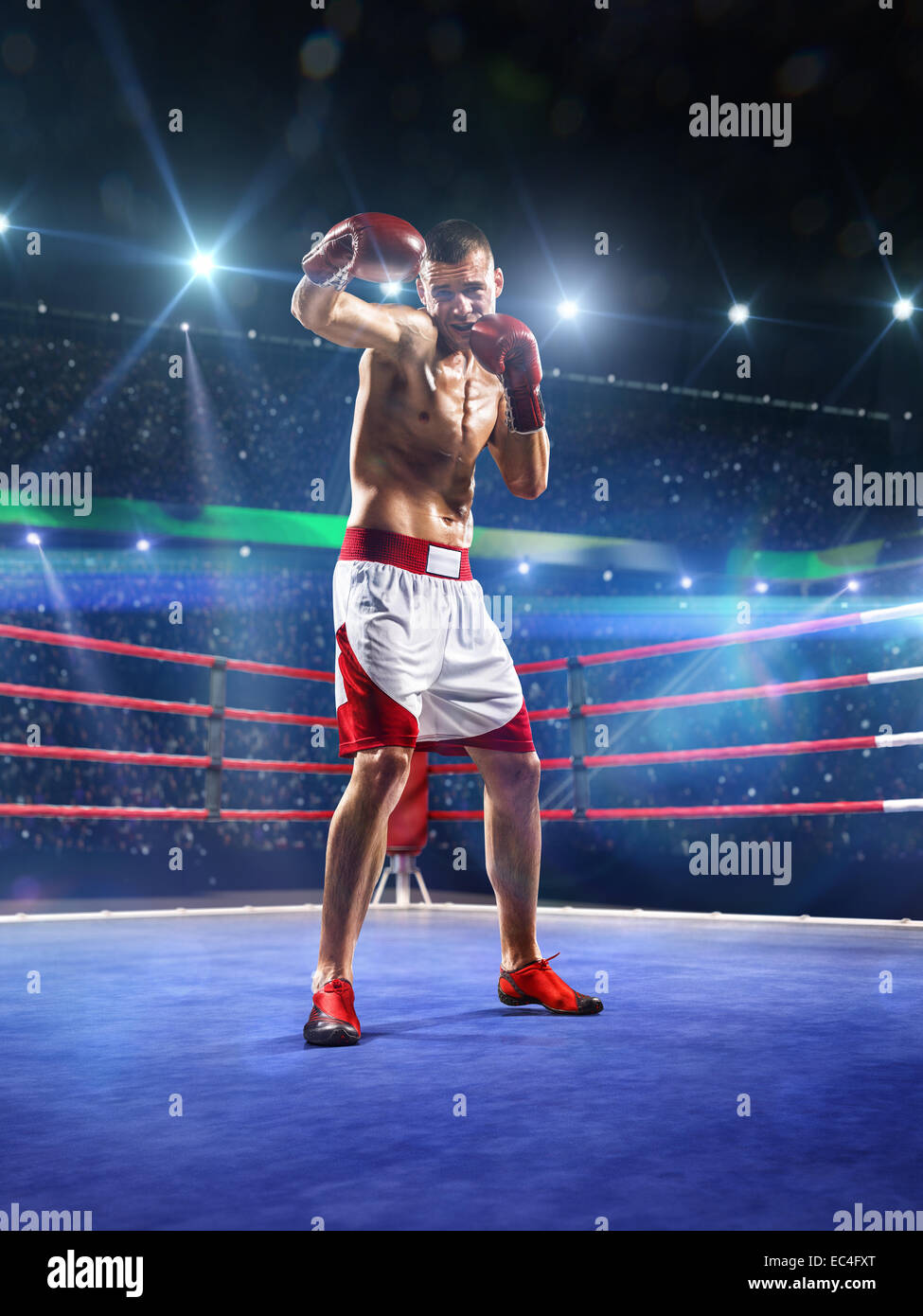 Professionl boxer is standing on the ring Stock Photo Alamy