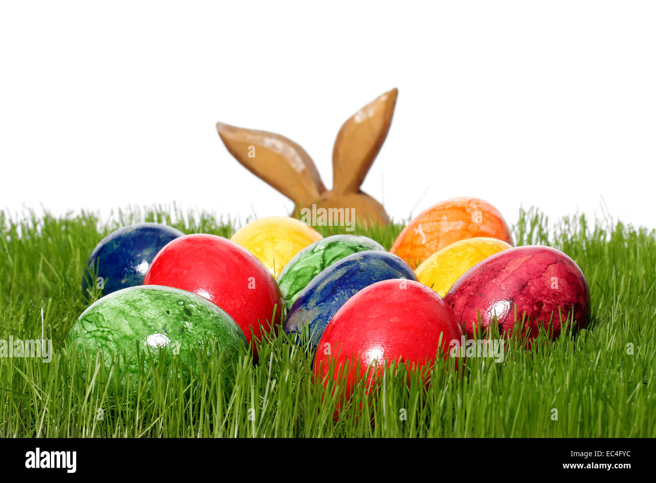Easter bunny in grass hi-res stock photography and images - Alamy