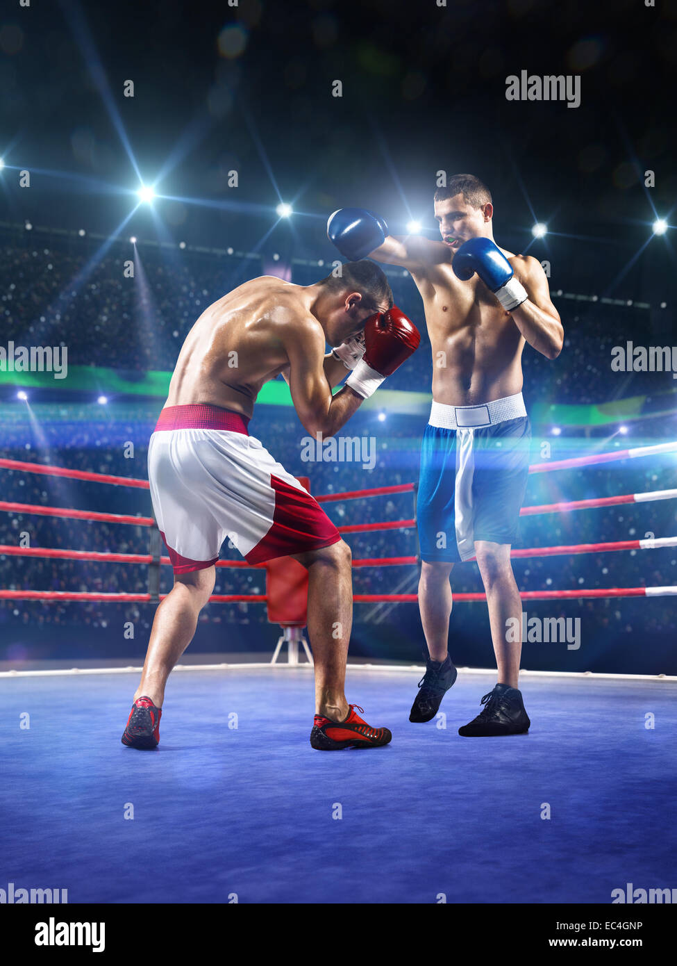 Two professionl boxers are fighting on arena Stock Photo
