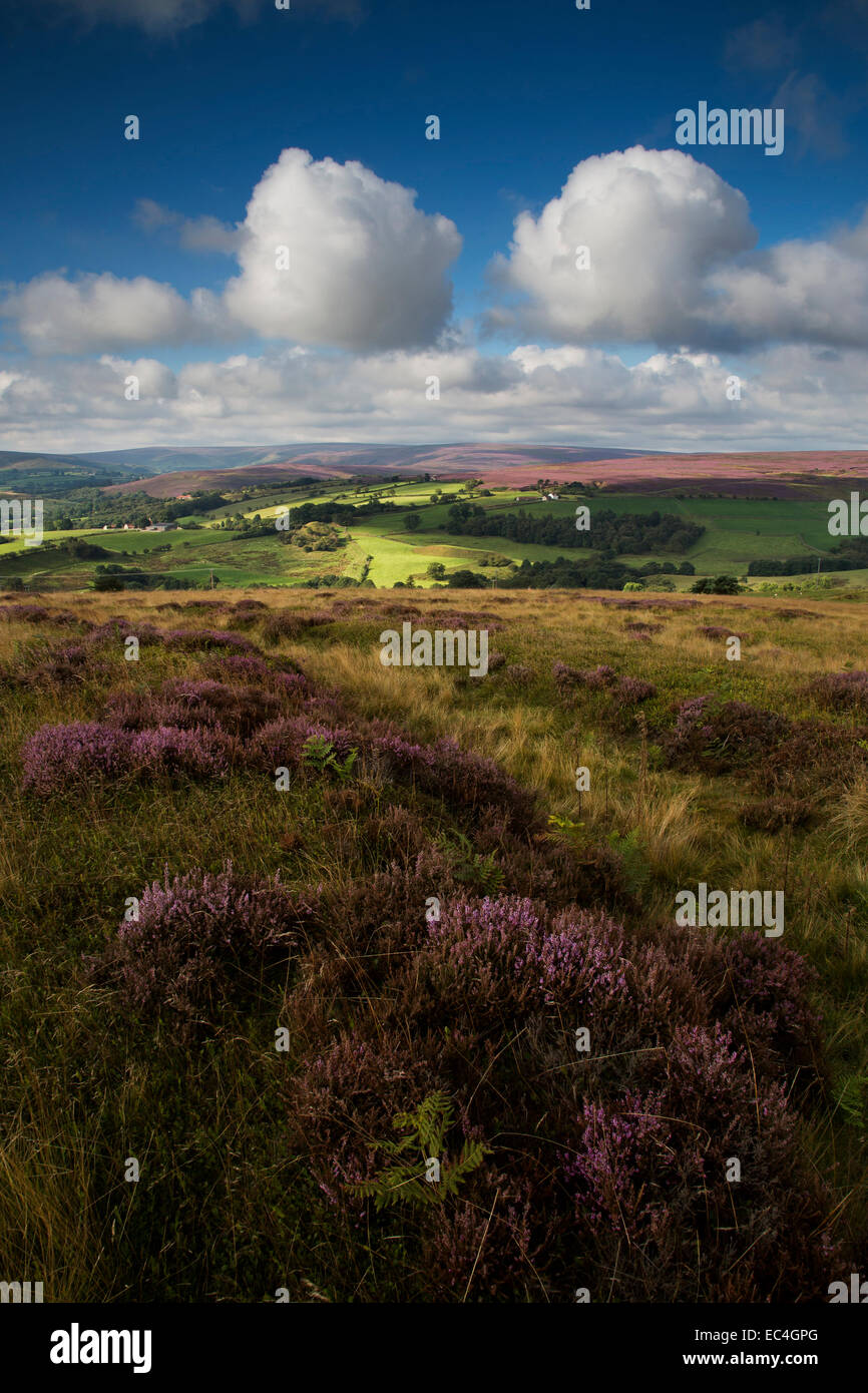 North York Moors National Park from Commondale Moor Stock Photo - Alamy