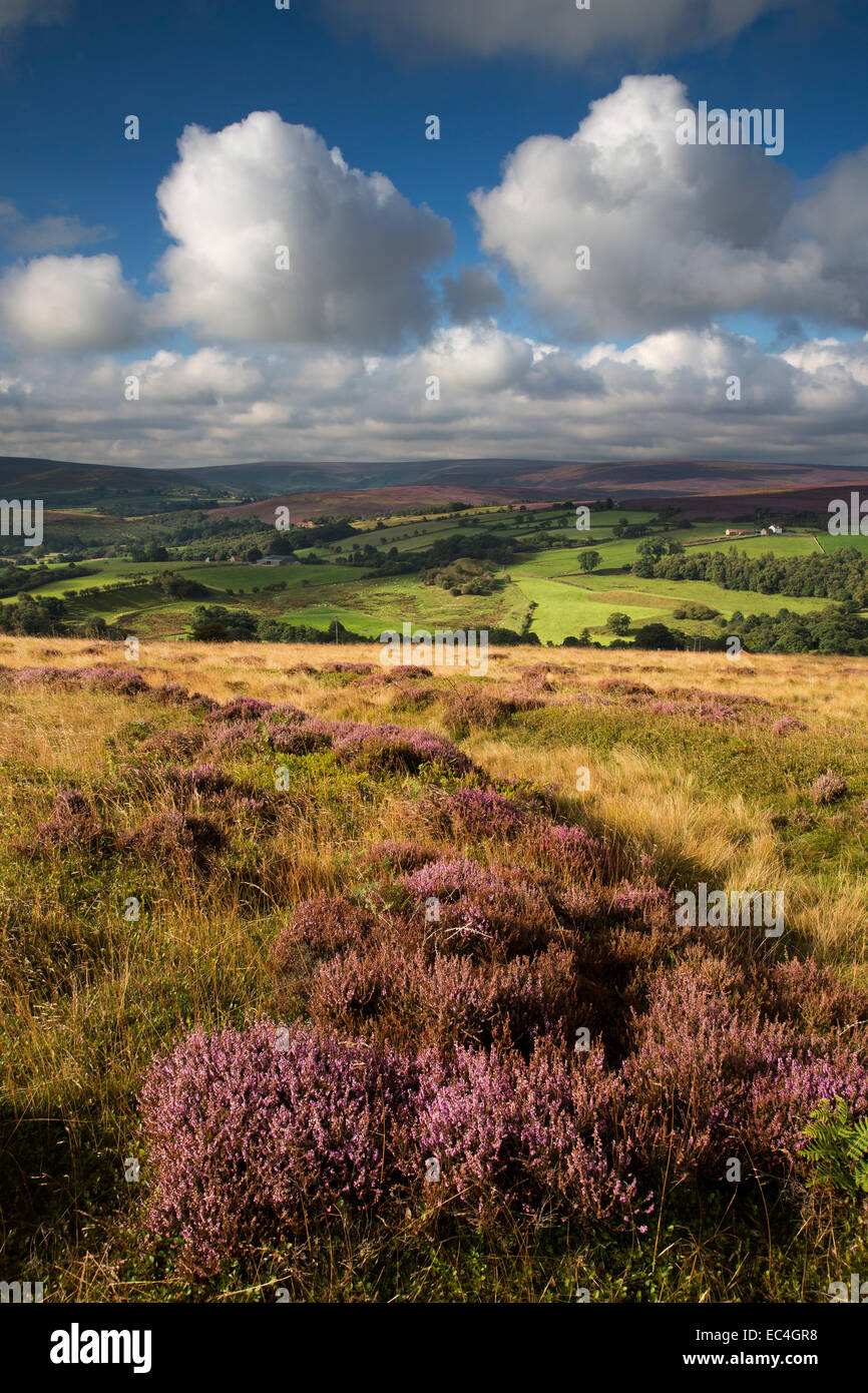 North York Moors National Park from Commondale Moor Stock Photo