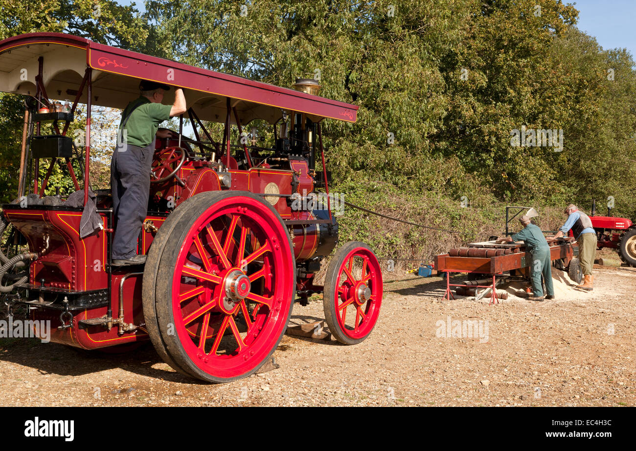 A steam traction engine powering a saw bench Stock Photo