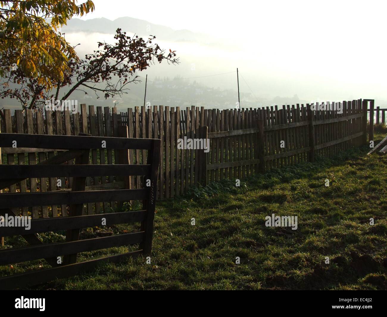 Sunset in the autum Stock Photo