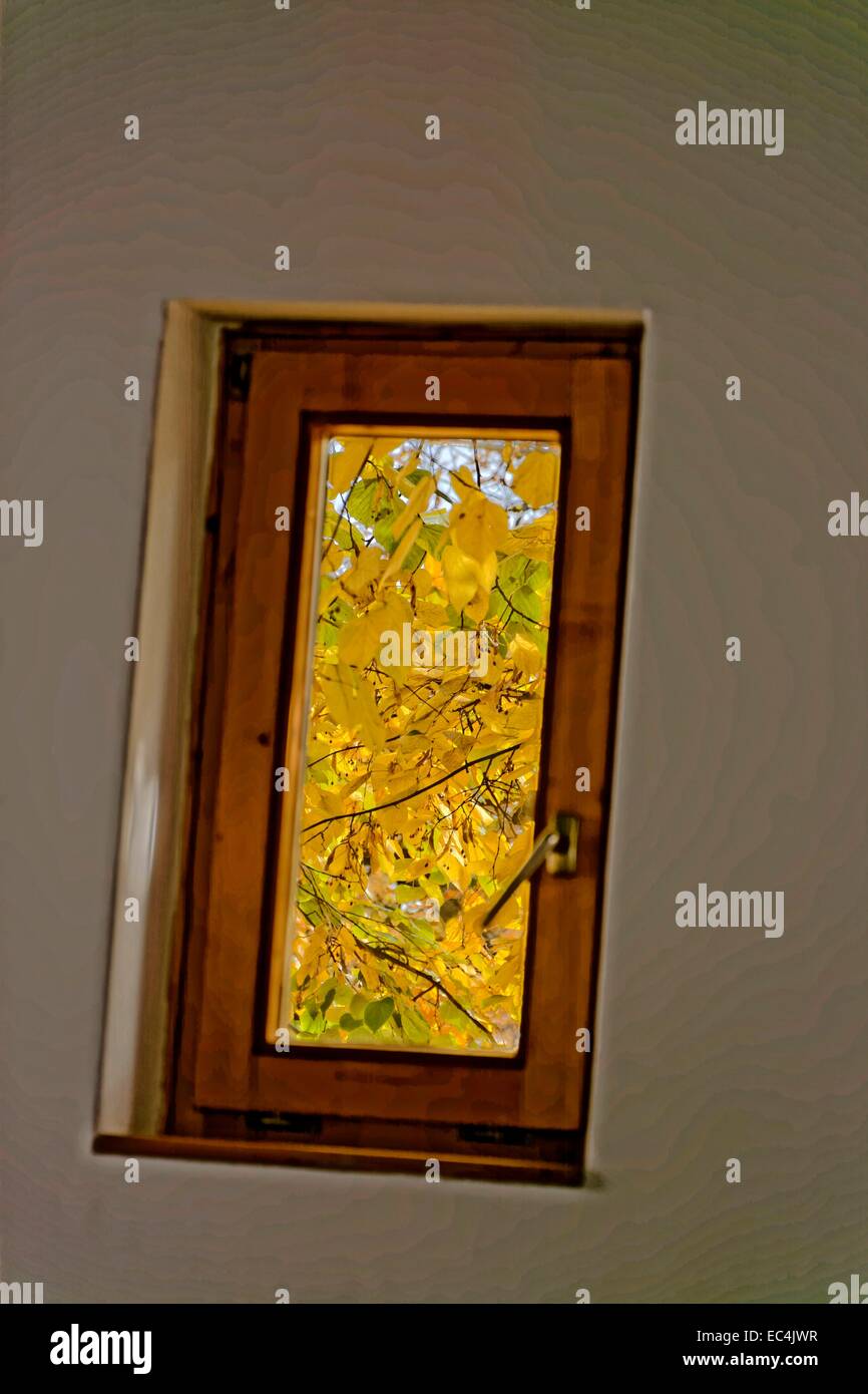 Slanted brick a window with views of tree foliage in autumn colors Stock Photo