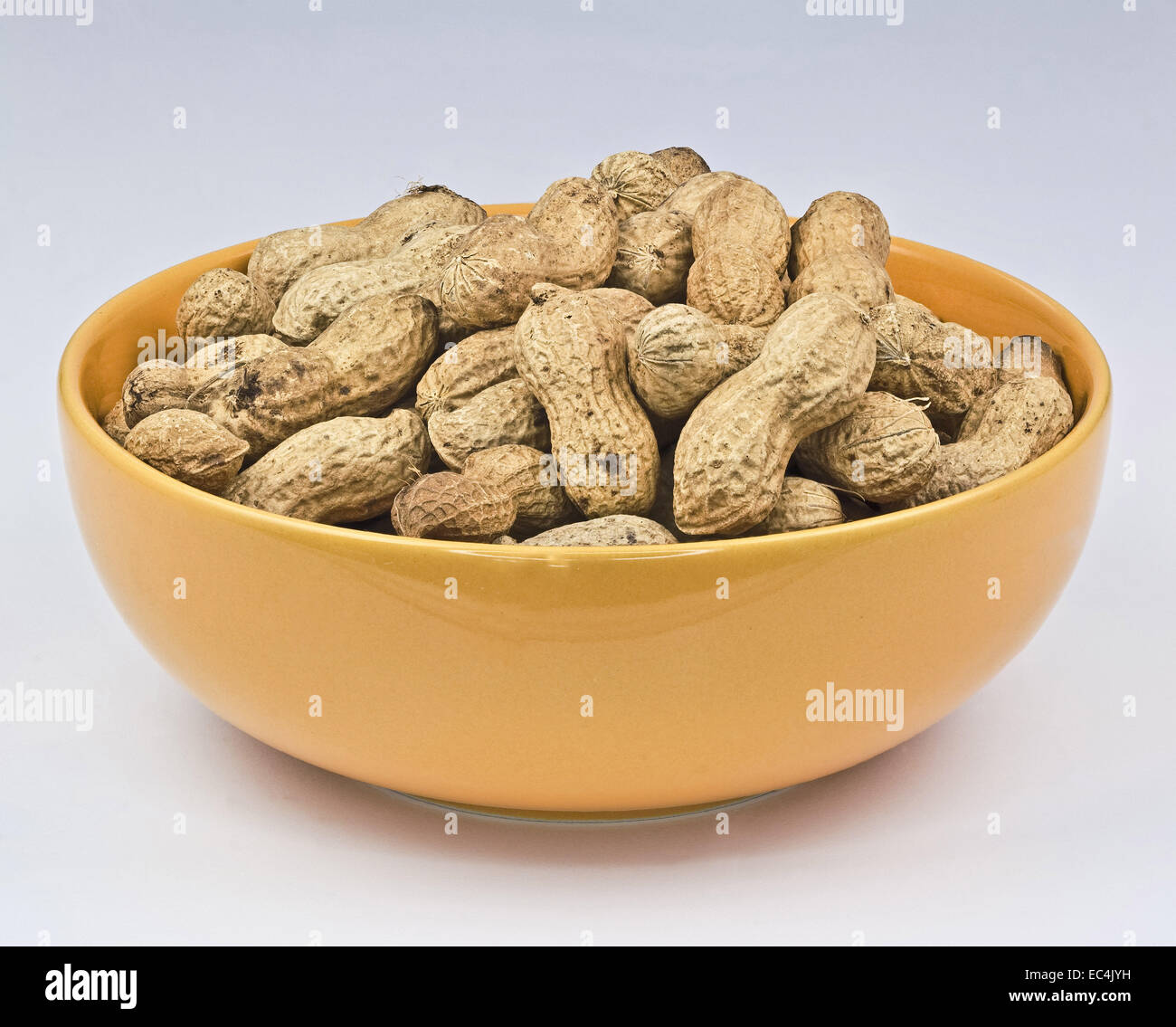 Peanuts arachis hypogaea Stock Photo Alamy