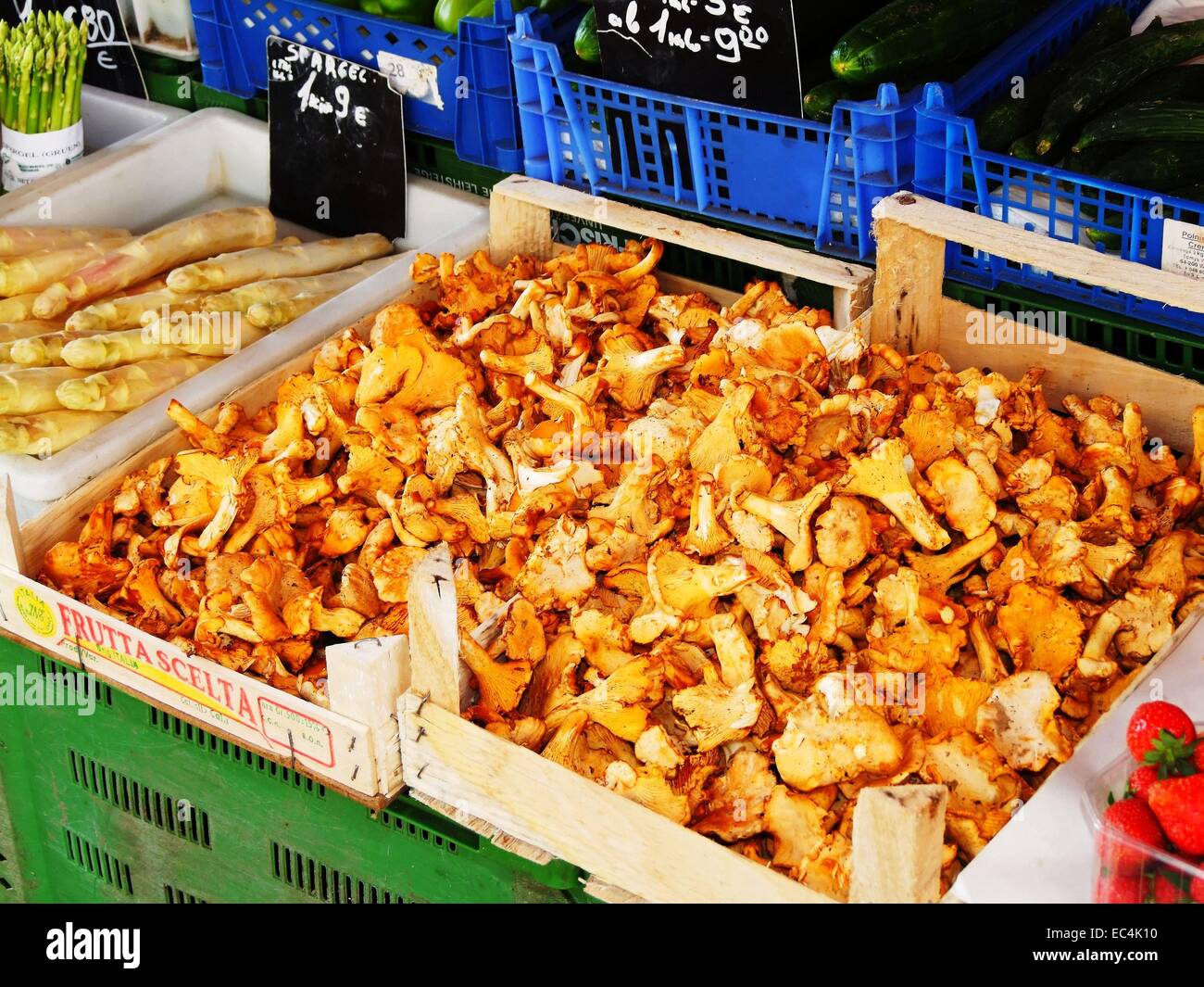 Cantharellus cibarius und Spargel - asparagus- - Get full whistle rings - Cantharellus cibarius and asparagus - asparagus- Stock Photo