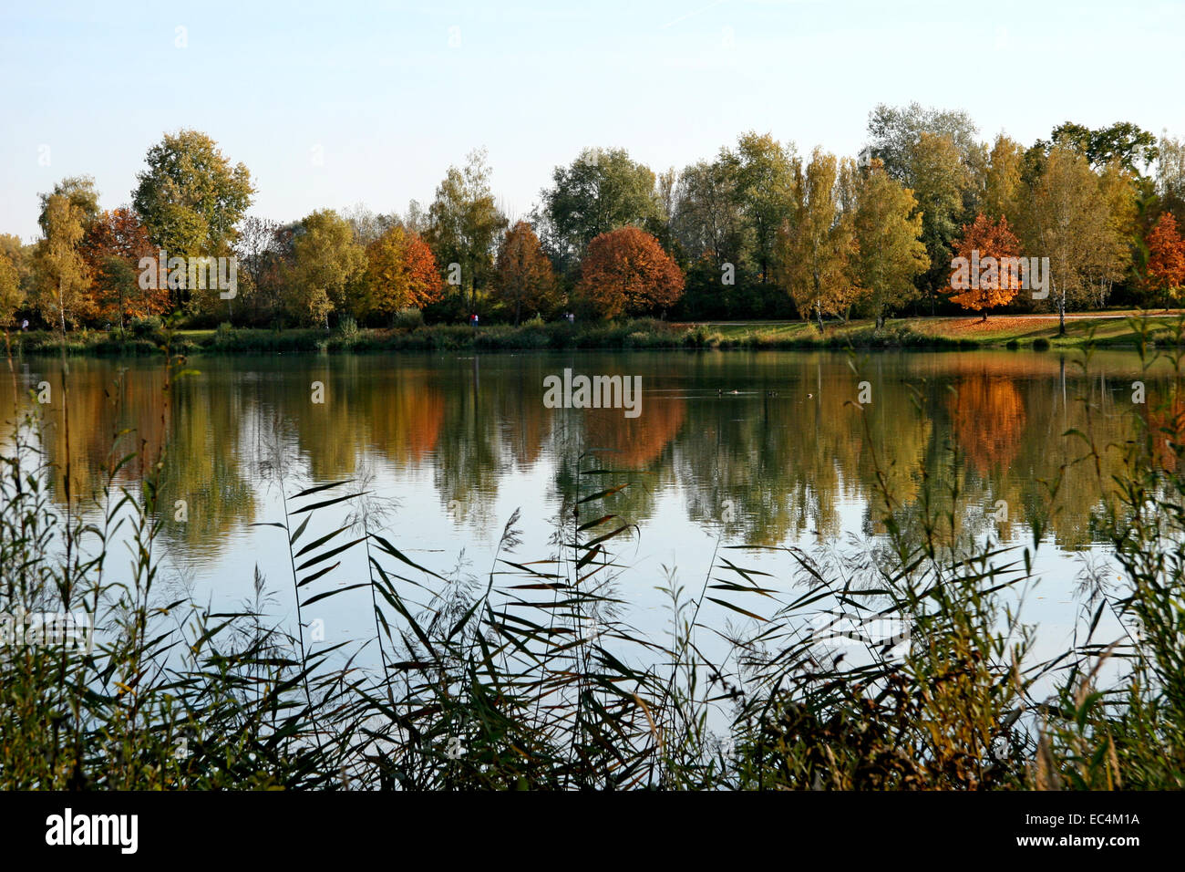 Water mirroring autumn wood hi-res stock photography and images - Alamy