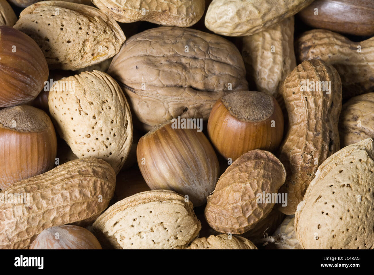 different nuts Stock Photo