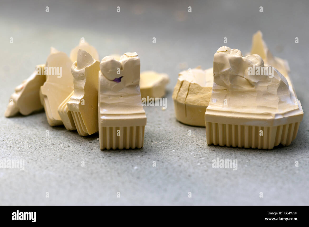 Parts of the upper jaw model Stock Photo